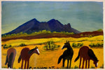 Horses standing looking for a drink of water