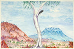 Ikunji - Haasts Bluff