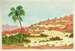 Palm Valley