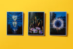 Chihuly in the Botanic Garden Photographic Notebook (3pk)