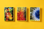 Chihuly in the Botanic Garden Photographic Notebook (3pk)