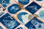 Children's Workshop: Cyanotype Printmaking 5+ | SEPPELTSFIELD