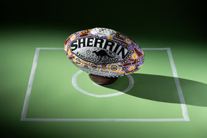 Hand Painted Sherrin Football