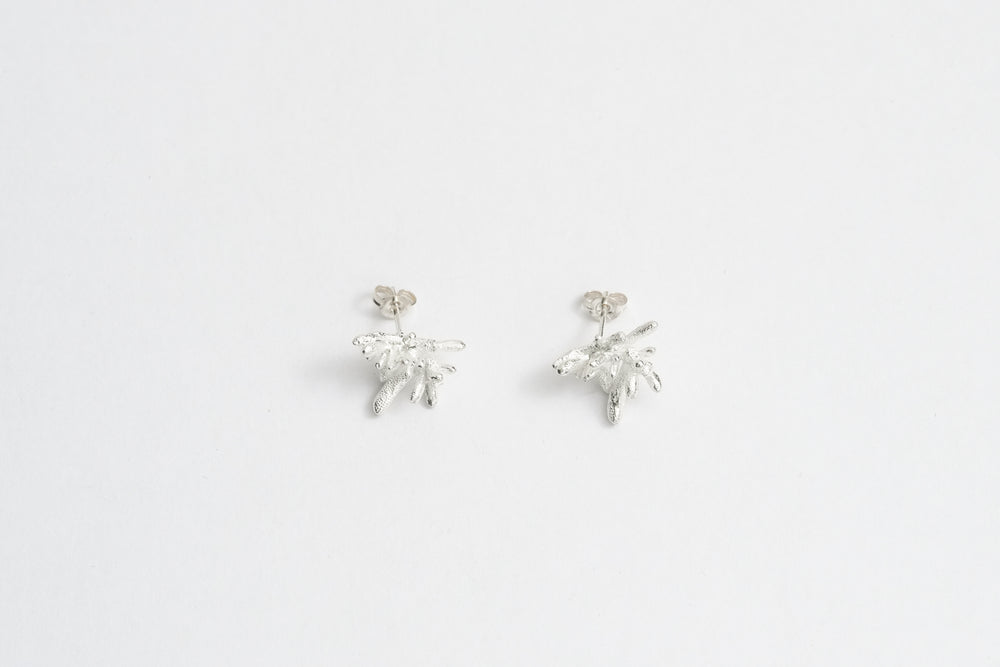 Succulent Earrings