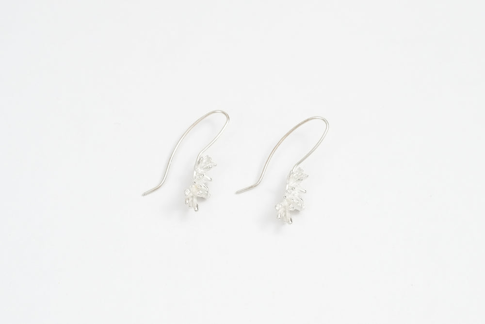 Succulent Earrings