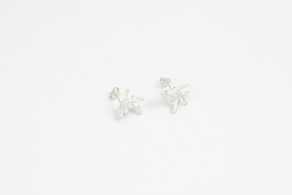 Succulent Earrings
