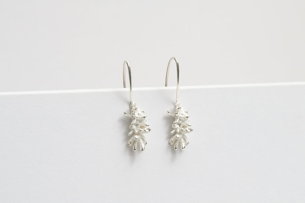 Succulent Earrings