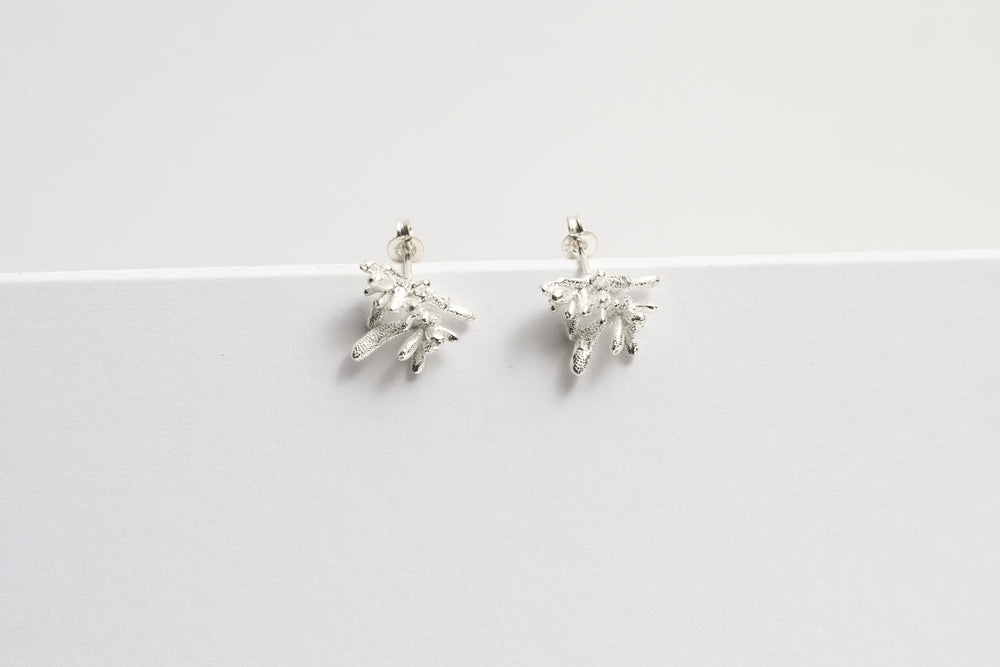 Succulent Earrings