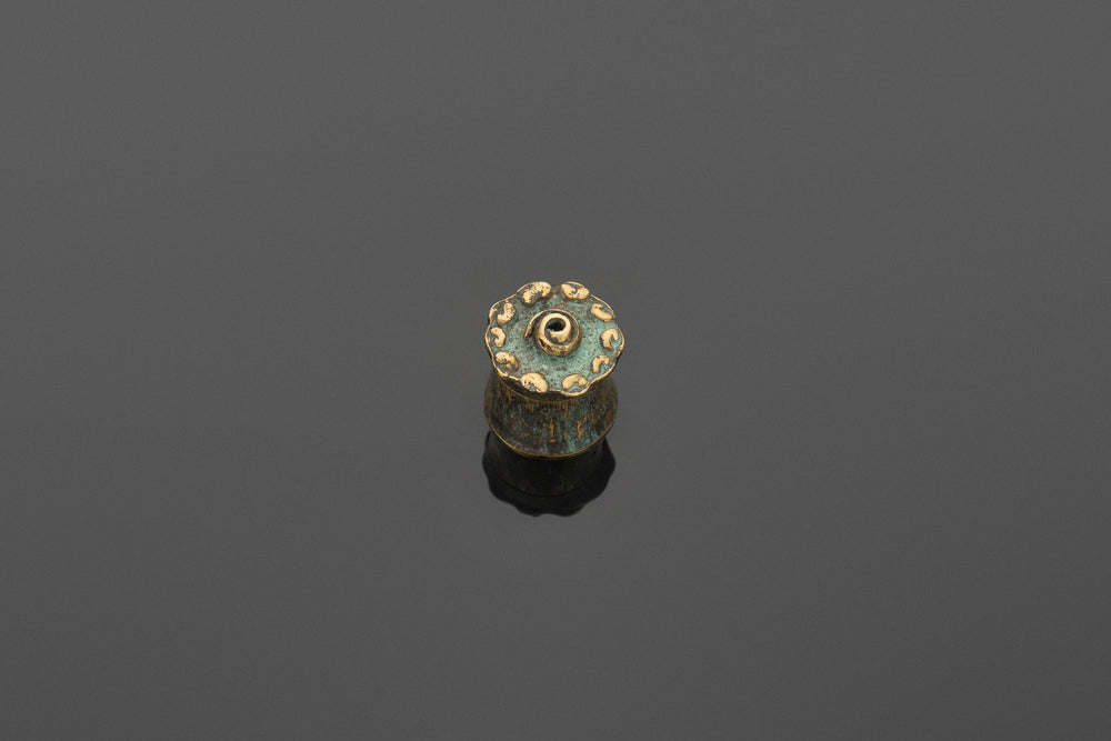 Elips - the seed of hope