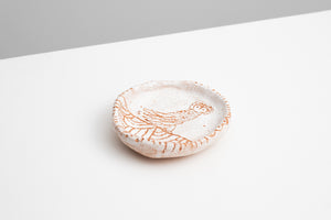 Cosmic Owl Dish