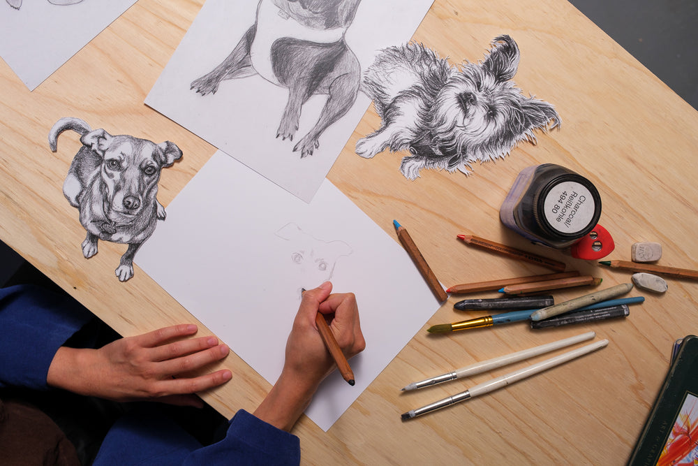 Children's Workshop: Canine Pet Portraits 5+ | SEPPELTSFIELD