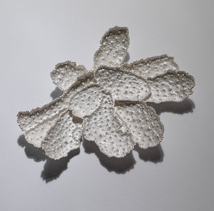 Corallium Brooch #2