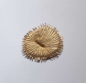 Corallium Brooch #10