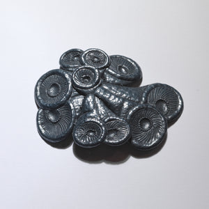 Corallium Brooch #13